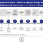 synod journey